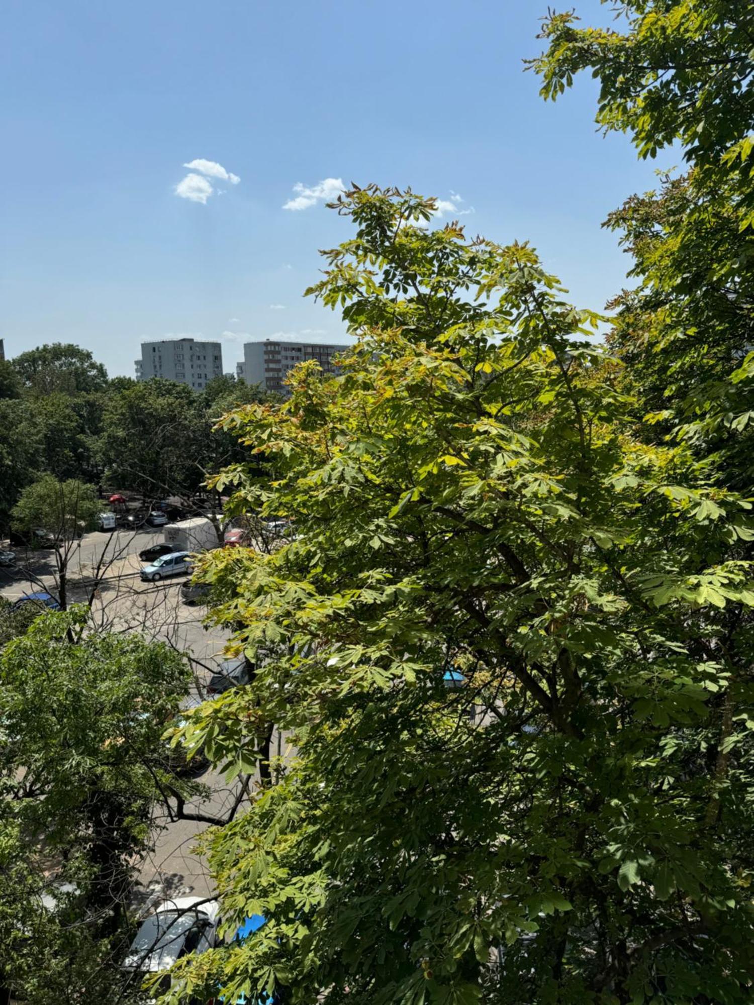 בוקרשט Park Lake Apartment מראה חיצוני תמונה
