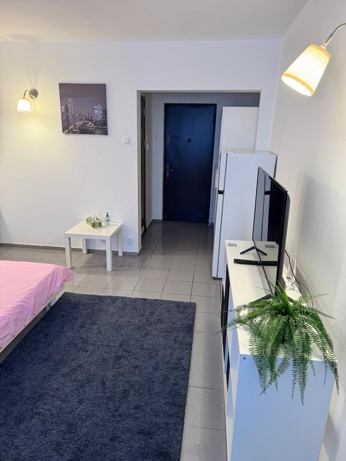 בוקרשט Park Lake Apartment מראה חיצוני תמונה